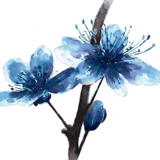 Telegram profile photo for 再生