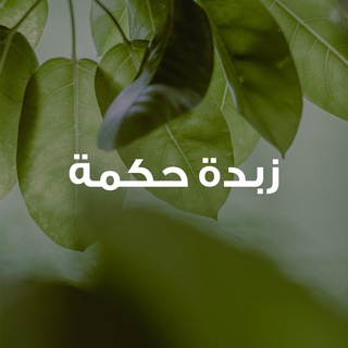 Telegram profile photo for زبدة حكمة / منظور الوعي الشمولي