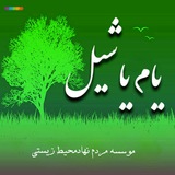 Telegram profile photo for یام یاشیل میاندوآب