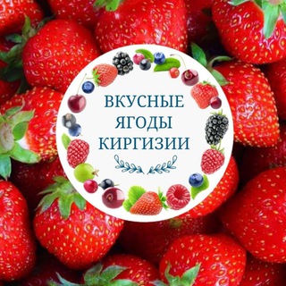 Telegram profile photo for ВКУСНЫЕ ЯГОДЫ КИРГИЗИИ🇰🇬 Казань📍