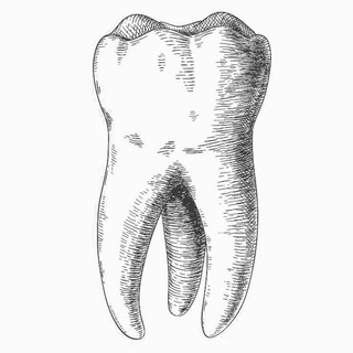 Telegram profile photo for ЗУБНЫЕ ТЕХНИКИ 🦷