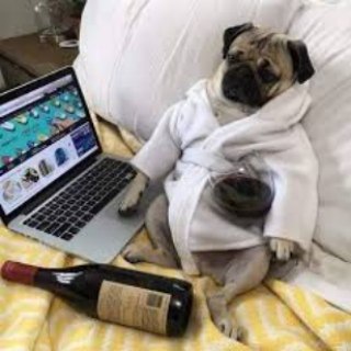Telegram profile photo for Channel-vpn
