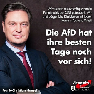 Telegram profile photo for FCH AfD Politischer Realismus