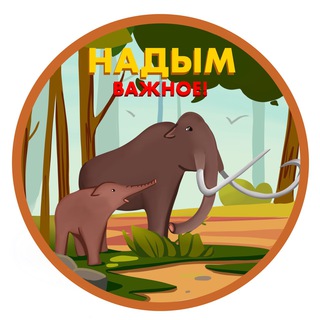Telegram profile photo for Надым. Важное!