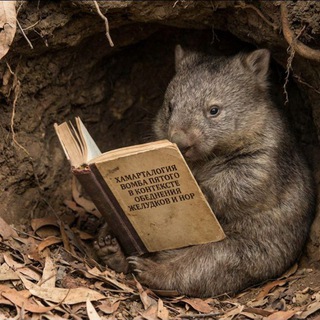 Telegram profile photo for сервильные жмурки
