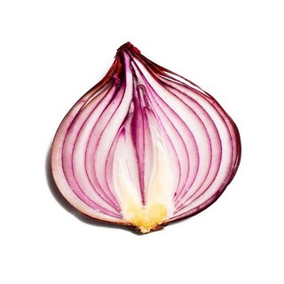 Telegram group profile photo for Onion Search Engine BB