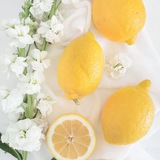 Telegram profile photo for limooshop 🍋 لیمو شاپ 🍋