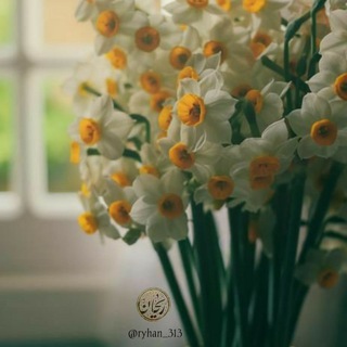 Telegram profile photo for •| ریحآن |•