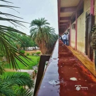 Telegram profile photo for College of Engineering batch 2020