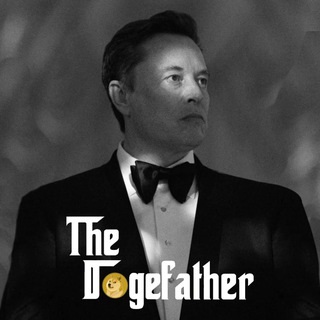 Telegram profile photo for The Dogefather CTO