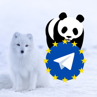 Telegram profile photo for WWF Telegram Channel by GRT: World Wildlife Fund Europe / España / Deutschland / Italia / Russia / Australia / France / UK USA