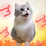 Telegram profile photo for ОТЗЫВЫ МЯВКИ