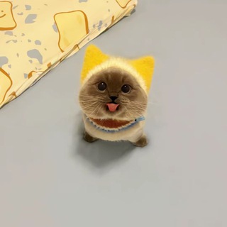 Telegram profile photo for жизнь волейболиста😍