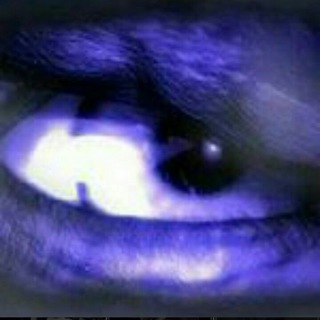 Telegram profile photo for جستجوی هیولا