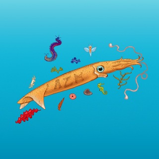 Telegram profile photo for АЖ