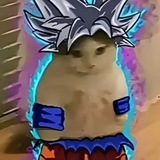 Telegram profile photo for PEPE TOSHI OFFICIAL KOLS ☕