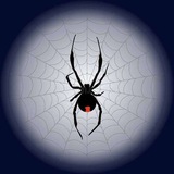 Telegram profile photo for خيوط العنكبوت ©™ Web of Mysteries ©™