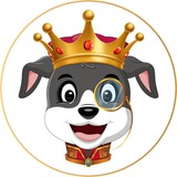 Telegram profile photo for Collie Inu: Portal