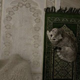 Telegram profile photo for مَخَبأ
