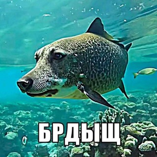 Telegram profile photo for Лесбошабаш Епьч