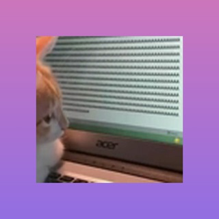 Telegram profile photo for Вакансии ПерваяПолоса и E-school 👩🏼💻