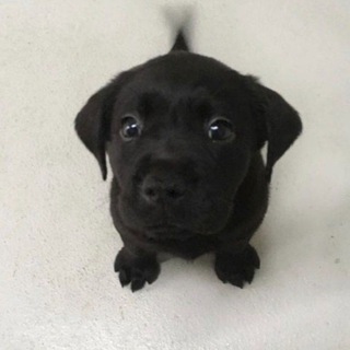 Telegram profile photo for какие боги нами правят | кира золотовская