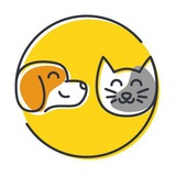 Telegram profile photo for БФ «Младший Брат» г. Бикин