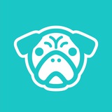 Telegram profile photo for WAF WAF