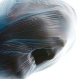 Telegram profile photo for Salud mental de la cianobacteria