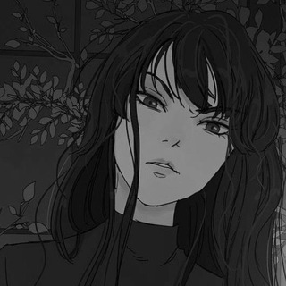 Telegram profile photo for -