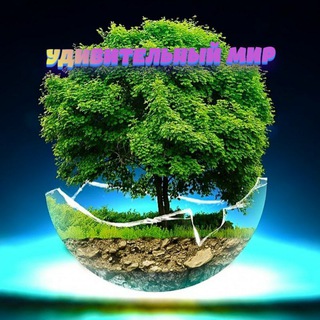 Telegram profile photo for Удивительный мир