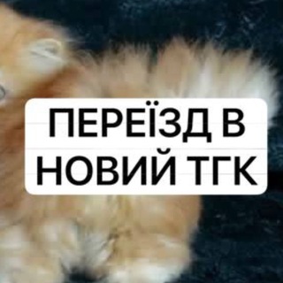 Telegram profile photo for M0R11 АРХІВ