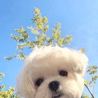 Telegram profile photo for โจ๐พ๐ค๐ช๐ฅ๐ก๐ & ๐๐ค๐ฃ๐๐ธ