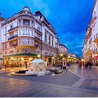 Telegram group profile photo for Serbian startups🇷🇸