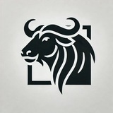 Telegram profile photo for Портфоліо Монтаж 💻