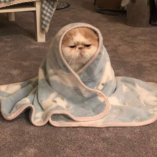 Telegram profile photo for Фармакология MVK 🦭