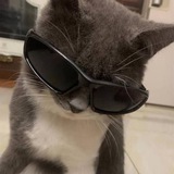 Telegram profile photo for Vouch