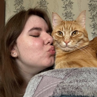 Telegram profile photo for Будни с рыжим котом