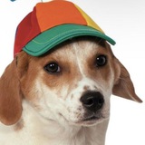 Telegram profile photo for витвит витуенка