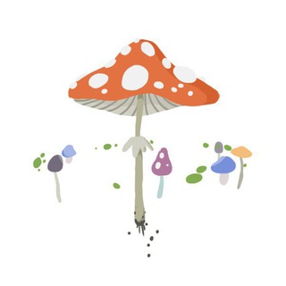 Telegram profile photo for Гифы мицелия