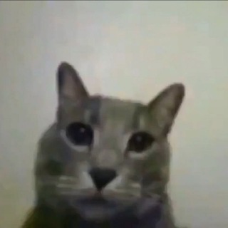 Telegram profile photo for cursedgbf