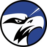 Telegram profile photo for Q1 Portal