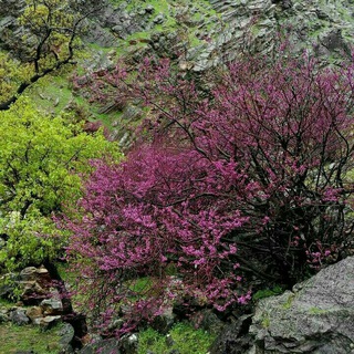 Telegram profile photo for مشاوره ناحیه۲ - سنندج