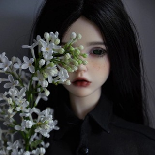 Telegram profile photo for Shelkie's dolls