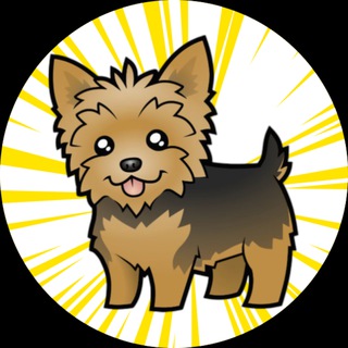 Telegram profile photo for Randy's Calls