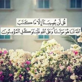 Telegram profile photo for أااقــۘـۘـۘ͢ـلـام✍̯ رباعية اللون ✌
