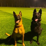 Telegram profile photo for Юша и Скаллюша