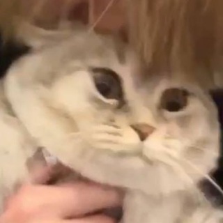 Telegram profile photo for дни жизни кактуса