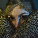 Telegram profile photo for Rtd art