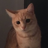 Telegram profile photo for нэо заебалово